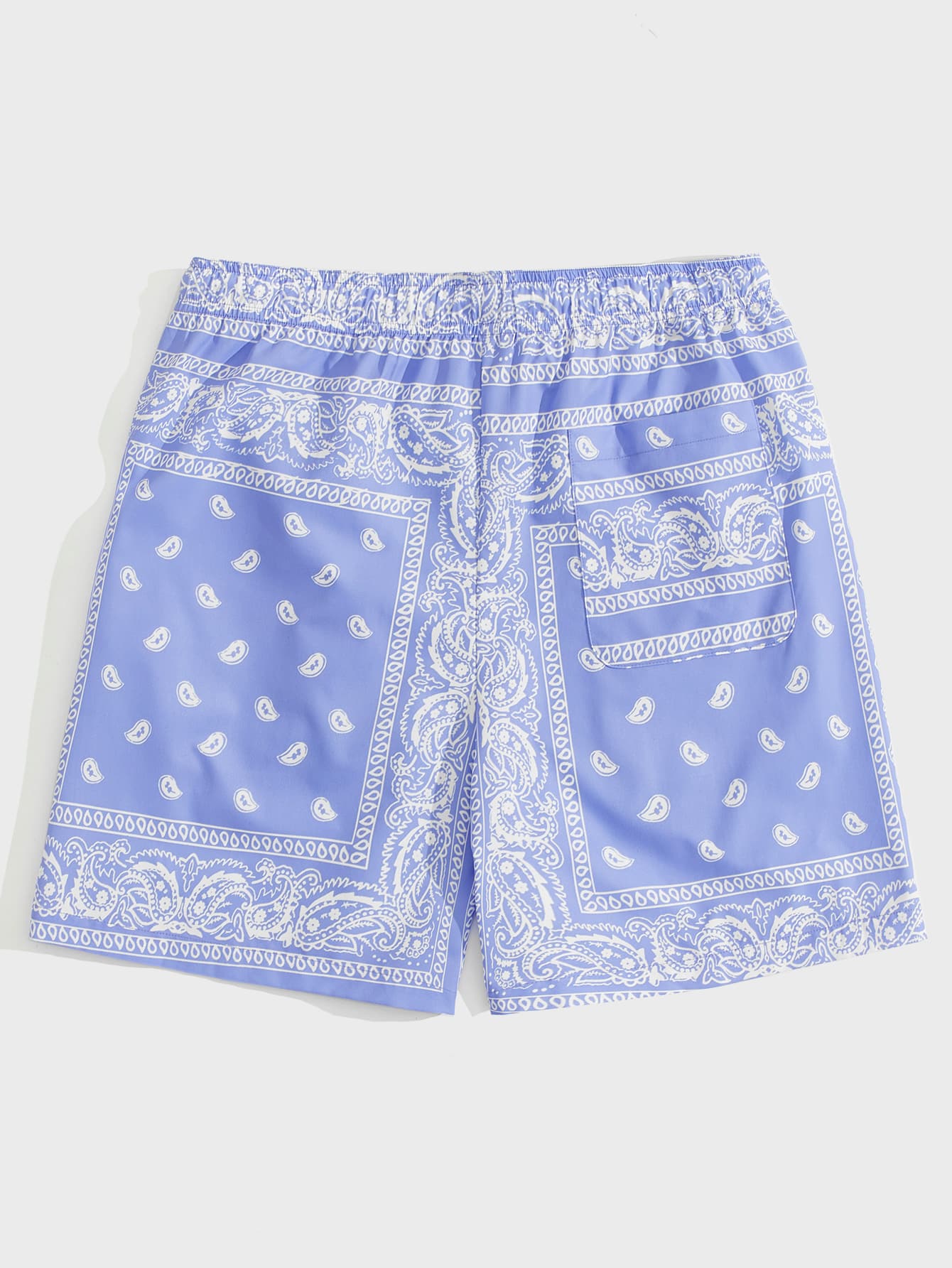 Manfinity RSRT Men Drawstring Waist Paisley Print Shorts