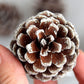 9pcs/Pack Christmas Tree Decoration Pine Cone Pendant Diy Pine Tree Atmosphere Hanging Ornaments, White